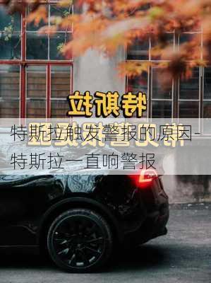 特斯拉触发警报的原因-特斯拉一直响警报