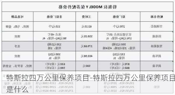 特斯拉四万公里保养项目-特斯拉四万公里保养项目是什么