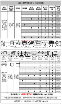 凯迪拉克汽车保养知识-凯迪拉克常规保养项目