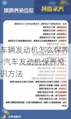 车辆发动机怎么保养-汽车发动机保养常识方法