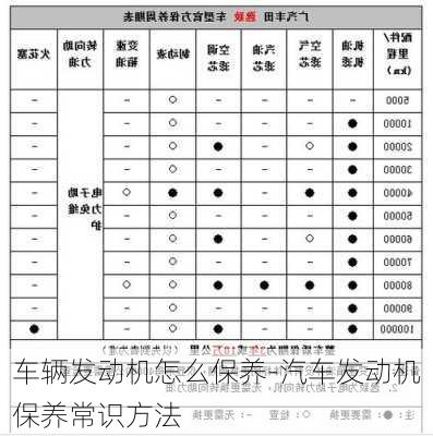 车辆发动机怎么保养-汽车发动机保养常识方法