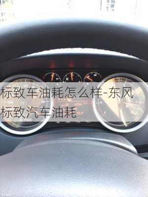 标致车油耗怎么样-东风标致汽车油耗