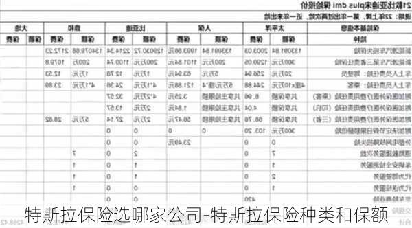 特斯拉保险选哪家公司-特斯拉保险种类和保额