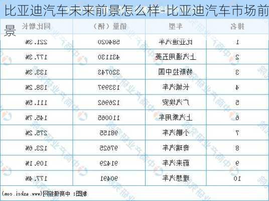 比亚迪汽车未来前景怎么样-比亚迪汽车市场前景