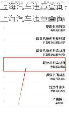 上海汽车违章查询-上海汽车违章查询