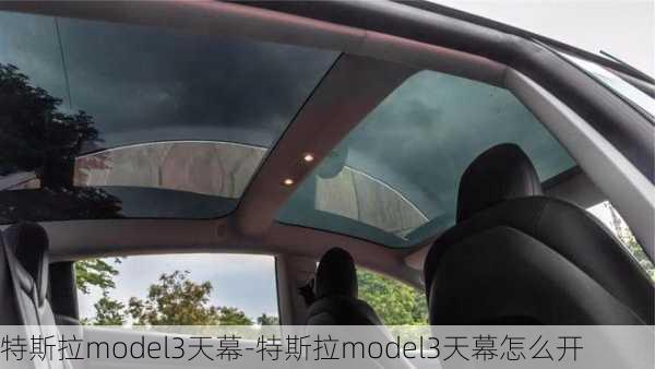 特斯拉model3天幕-特斯拉model3天幕怎么开