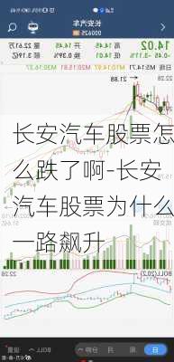 长安汽车股票怎么跌了啊-长安汽车股票为什么一路飙升