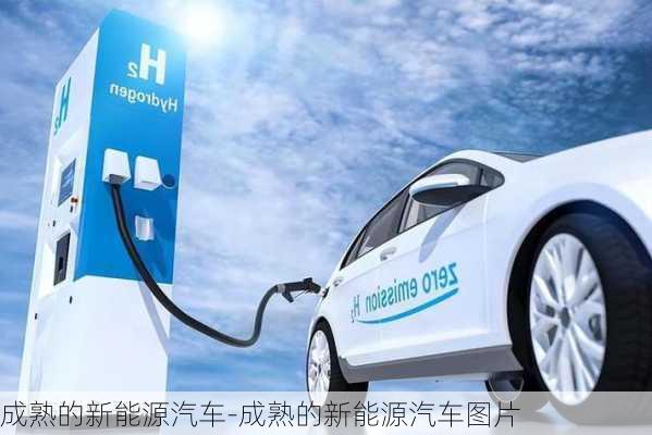 成熟的新能源汽车-成熟的新能源汽车图片