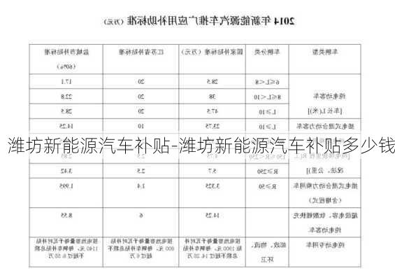 潍坊新能源汽车补贴-潍坊新能源汽车补贴多少钱