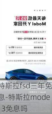 特斯拉fsd三年免息-特斯拉model 3免息吗