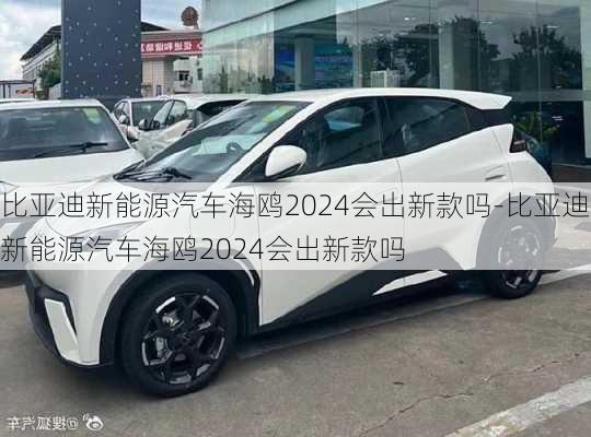 比亚迪新能源汽车海鸥2024会出新款吗-比亚迪新能源汽车海鸥2024会出新款吗