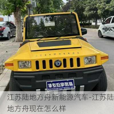 江苏陆地方舟新能源汽车-江苏陆地方舟现在怎么样