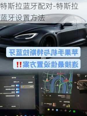 特斯拉蓝牙配对-特斯拉蓝牙设置方法