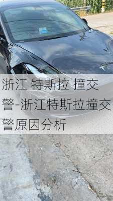 浙江 特斯拉 撞交警-浙江特斯拉撞交警原因分析