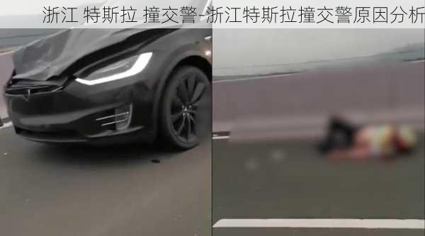 浙江 特斯拉 撞交警-浙江特斯拉撞交警原因分析