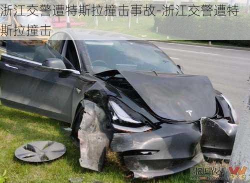 浙江交警遭特斯拉撞击事故-浙江交警遭特斯拉撞击