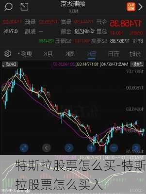特斯拉股票怎么买-特斯拉股票怎么买入