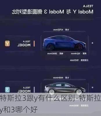 特斯拉3跟y有什么区别-特斯拉y和3哪个好