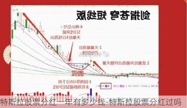 特斯拉股票分红一年有多少钱-特斯拉股票分红过吗