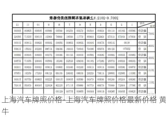 上海汽车牌照价格-上海汽车牌照价格最新价格 黄牛