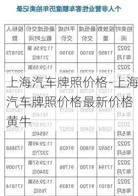 上海汽车牌照价格-上海汽车牌照价格最新价格 黄牛