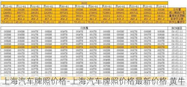 上海汽车牌照价格-上海汽车牌照价格最新价格 黄牛