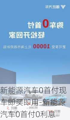 新能源汽车0首付现车即买即用-新能源汽车0首付0利息