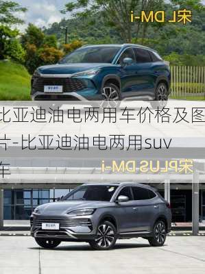 比亚迪油电两用车价格及图片-比亚迪油电两用suv车