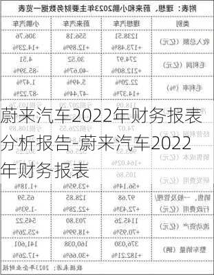 蔚来汽车2022年财务报表分析报告-蔚来汽车2022年财务报表