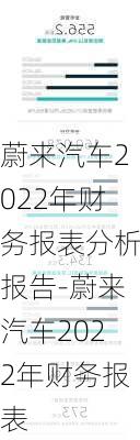 蔚来汽车2022年财务报表分析报告-蔚来汽车2022年财务报表