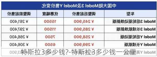 特斯拉3多少钱?-特斯拉3多少钱一公里