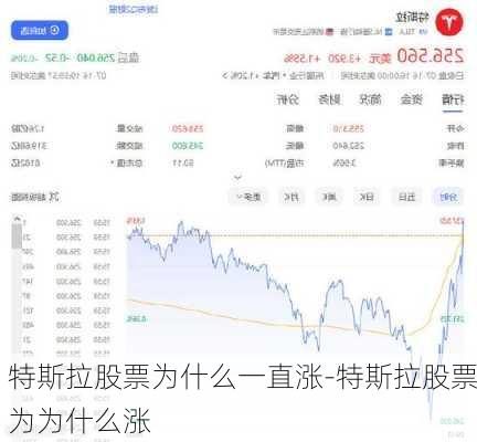 特斯拉股票为什么一直涨-特斯拉股票为为什么涨