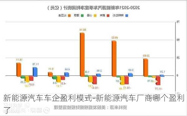 新能源汽车车企盈利模式-新能源汽车厂商哪个盈利了