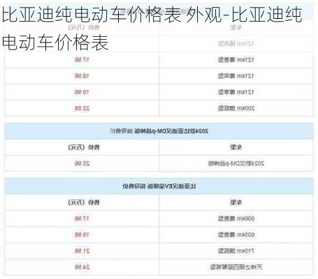比亚迪纯电动车价格表 外观-比亚迪纯电动车价格表