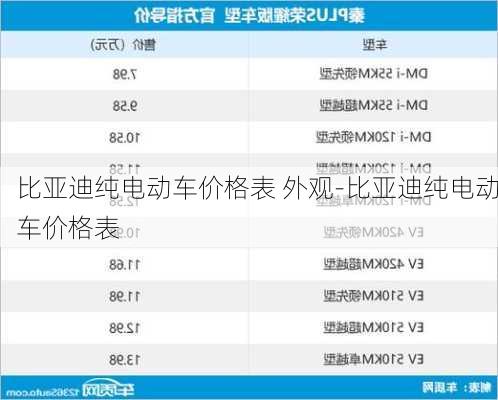 比亚迪纯电动车价格表 外观-比亚迪纯电动车价格表