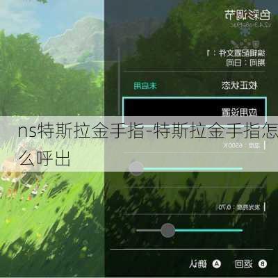 ns特斯拉金手指-特斯拉金手指怎么呼出