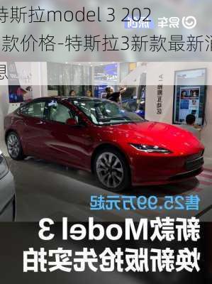 特斯拉model 3 2021款价格-特斯拉3新款最新消息