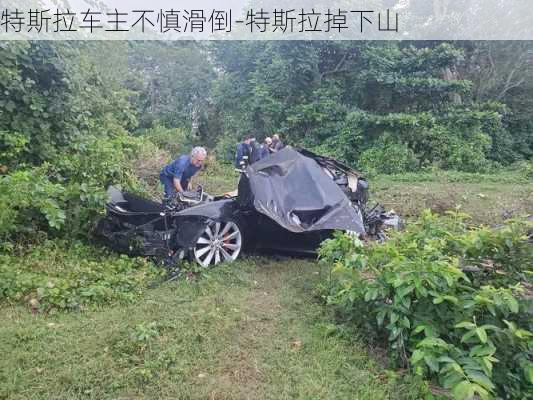 特斯拉车主不慎滑倒-特斯拉掉下山