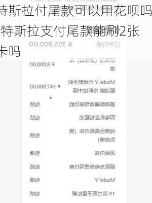 特斯拉付尾款可以用花呗吗-特斯拉支付尾款能刷2张卡吗