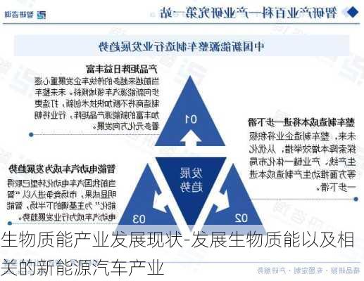 生物质能产业发展现状-发展生物质能以及相关的新能源汽车产业