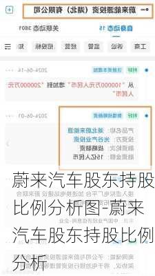 蔚来汽车股东持股比例分析图-蔚来汽车股东持股比例分析