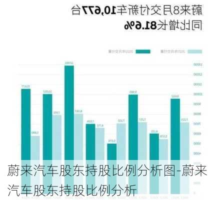 蔚来汽车股东持股比例分析图-蔚来汽车股东持股比例分析