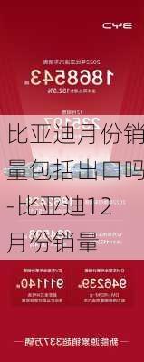 比亚迪月份销量包括出口吗-比亚迪12月份销量