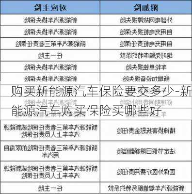 购买新能源汽车保险要交多少-新能源汽车购买保险买哪些好