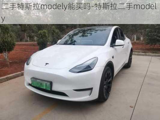 二手特斯拉modely能买吗-特斯拉二手model y