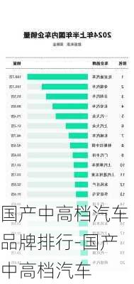 国产中高档汽车品牌排行-国产中高档汽车