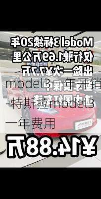 model3一年开销-特斯拉model3一年费用