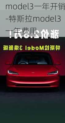 model3一年开销-特斯拉model3一年费用