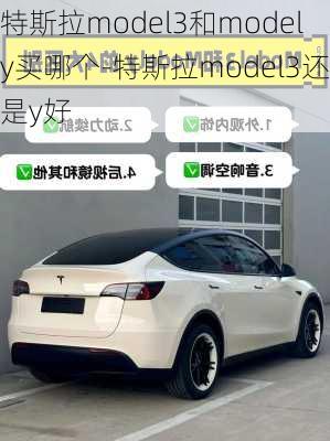 特斯拉model3和modely买哪个-特斯拉model3还是y好