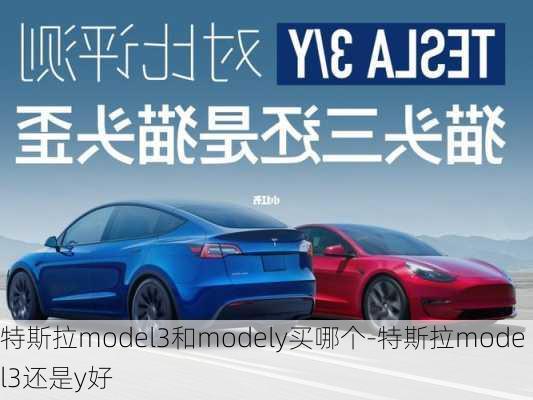 特斯拉model3和modely买哪个-特斯拉model3还是y好